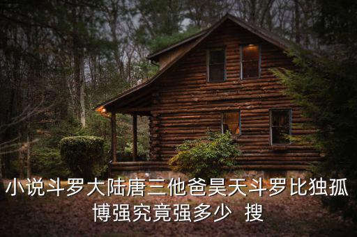 小说斗罗大陆唐三他爸昊天斗罗比独孤博强究竟强多少 搜