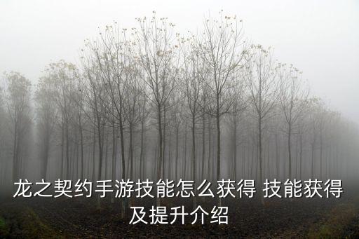 龙之契约手游技能怎么获得 技能获得及提升介绍
