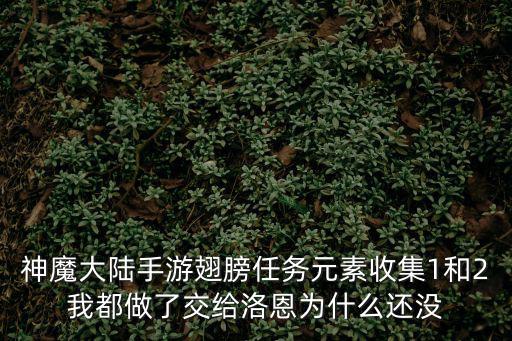 神魔大陆手游翅膀任务元素收集1和2我都做了交给洛恩为什么还没
