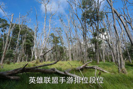 英雄联盟手游排位段位