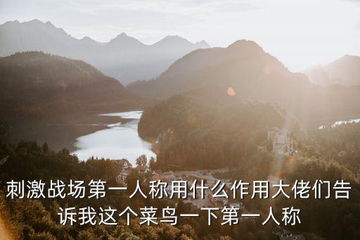 刺激战场第一人称用什么作用大佬们告诉我这个菜鸟一下第一人称
