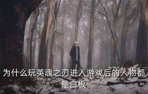 为什么玩英魂之刃进入游戏后的人物都是白板