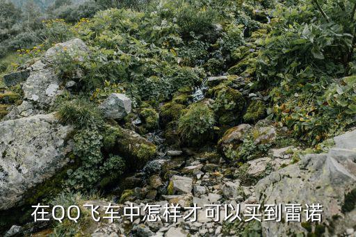 在QQ飞车中怎样才可以买到雷诺
