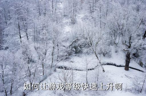 如何让游戏等级快速上升啊
