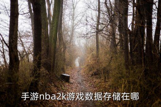 手游nba2k游戏数据存储在哪