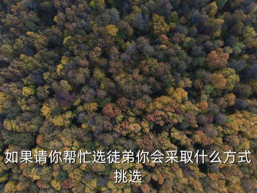 如果请你帮忙选徒弟你会采取什么方式挑选