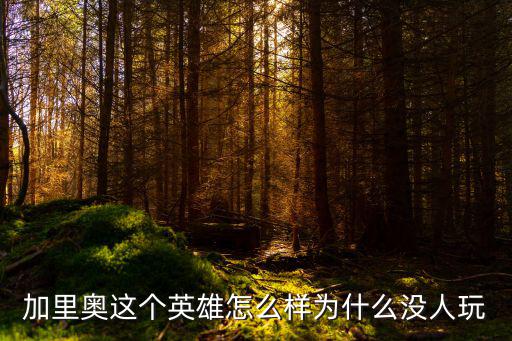 lol手游加里奥风执事怎么样，英雄联盟加里奥辅助如何