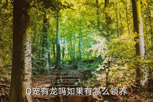 Q宠有龙吗如果有怎么领养