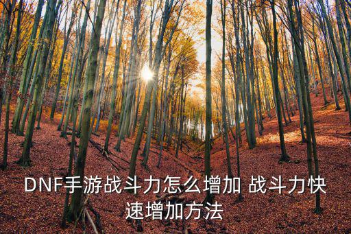DNF手游战斗力怎么增加 战斗力快速增加方法