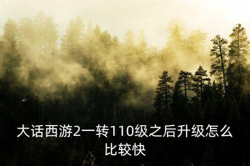 大话西游2一转110级之后升级怎么比较快