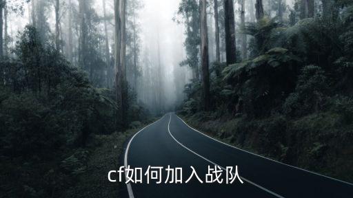 cf如何加入战队