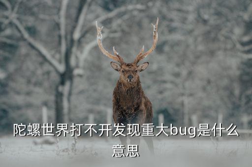 陀螺世界打不开发现重大bug是什么意思