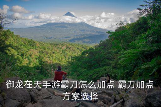 御龙在天手游四星武将怎么加点，御龙在天手游霸刀怎么加点好 霸刀加点推荐