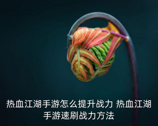 热血江湖手游怎么快速提升力量，热血江湖手游攻击力怎么提高 快速提升属性方法