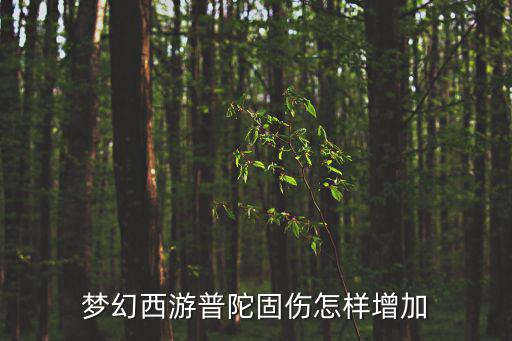 梦幻手游固伤怎么恢复快，手游梦幻西游平民玩家怎么点修快