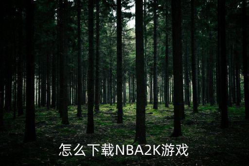 怎么下载NBA2K游戏