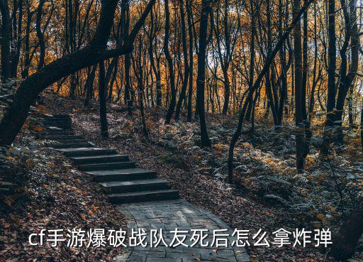 cf手游爆破战队友死后怎么拿炸弹