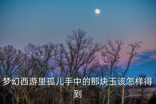 梦幻西游里孤儿手中的那块玉该怎样得到