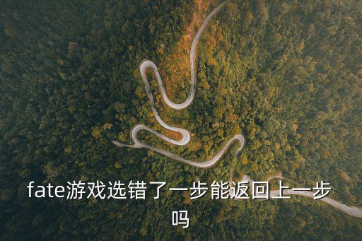 fate游戏选错了一步能返回上一步吗