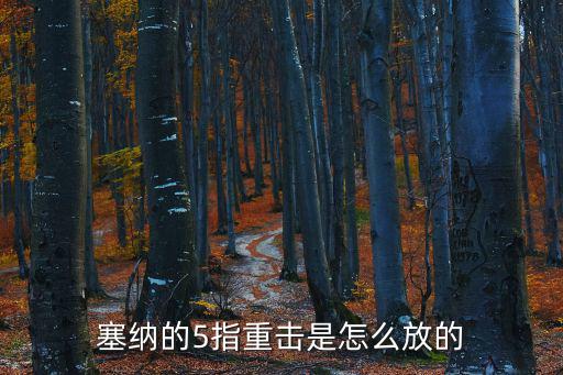 塞纳的5指重击是怎么放的
