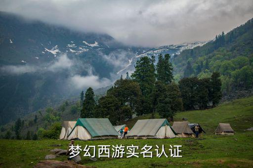 梦幻手游微信登录的怎么实名认证，梦幻西游用手机绑定登陆的时候要如何验证