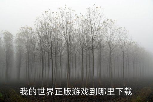 我的世界正版游戏到哪里下载