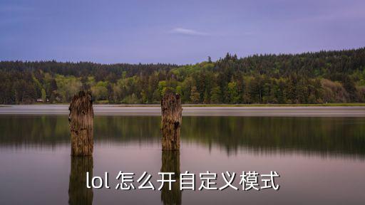lol 怎么开自定义模式