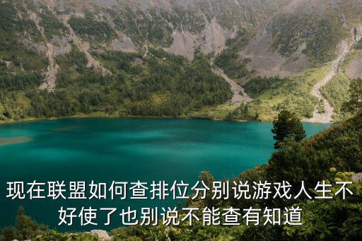 lol手游怎么看国标排行，lol游戏中怎么查排眼数