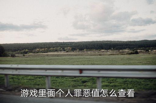 刀剑神域手游怎么看自己的数值，怎么在游戏中查自己的武略的具体数字