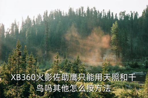 XB360火影佐助鹰只能用天照和千鸟吗其他怎么按方法