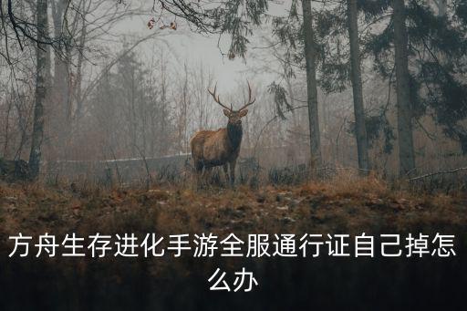 怎么下方舟手游有通行证的，怎样注册游戏通行证