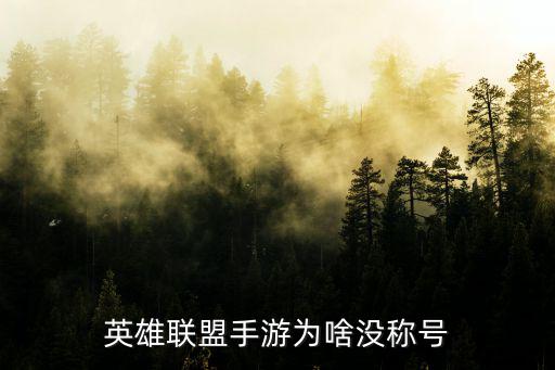 英雄联盟手游为啥没称号