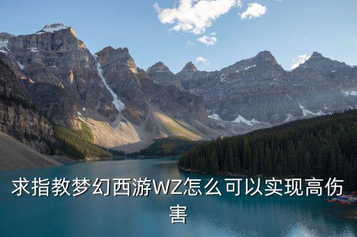 求指教梦幻西游WZ怎么可以实现高伤害