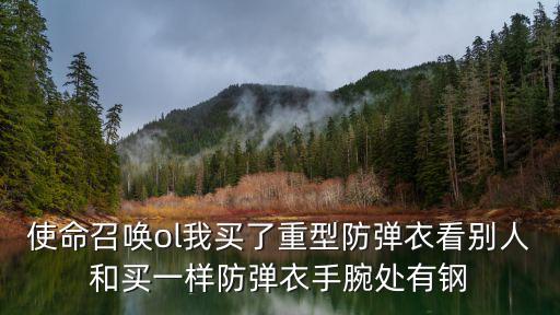 使命召唤ol我买了重型防弹衣看别人和买一样防弹衣手腕处有钢