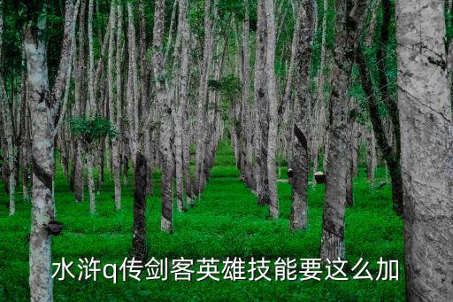 水浒q传剑客英雄技能要这么加