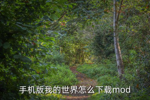 手机版我的世界怎么下载mod