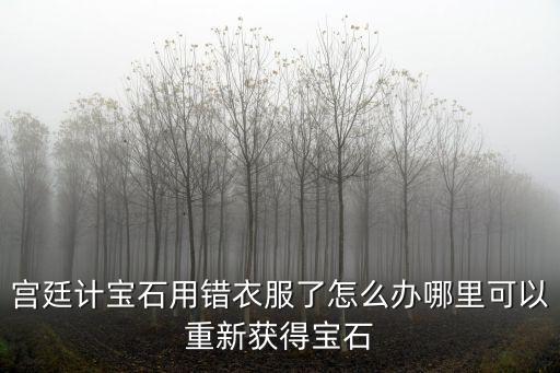 宫廷计手游珍宝怎么镶嵌，宫廷计宝石用错衣服了怎么办哪里可以重新获得宝石