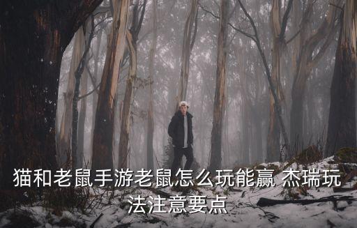 猫和老鼠手游老鼠怎么玩能赢 杰瑞玩法注意要点