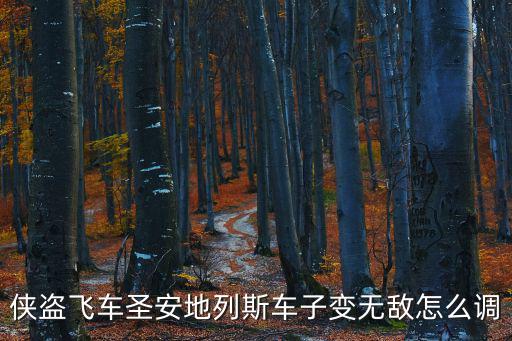 侠盗猎车手手游版怎么开无敌，侠盗飞车圣安地列斯车子变无敌怎么调