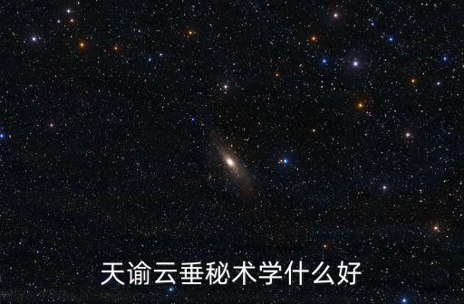 天谕云垂秘术学什么好