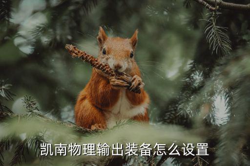 凯南物理输出装备怎么设置