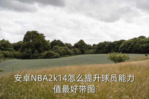 2k20手游球员能力值怎么调整，安卓NBA2k14怎么提升球员能力值最好带图