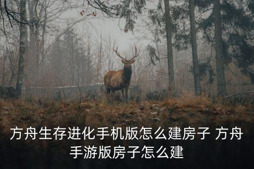 方舟手游版的素食岛怎么建房子，方舟生存进化怎么在空中建房子