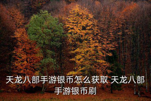 天龙八部手游银币怎么获取 天龙八部手游银币刷