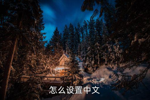 怎么设置中文