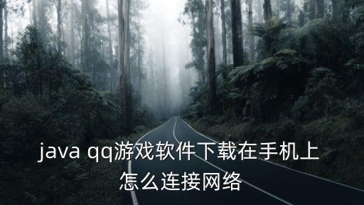 java qq游戏软件下载在手机上怎么连接网络