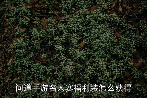 问道手游名人赛福利装怎么获得