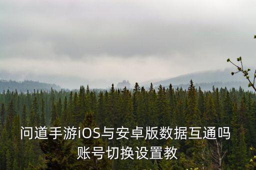 问道手游iOS与安卓版数据互通吗 账号切换设置教