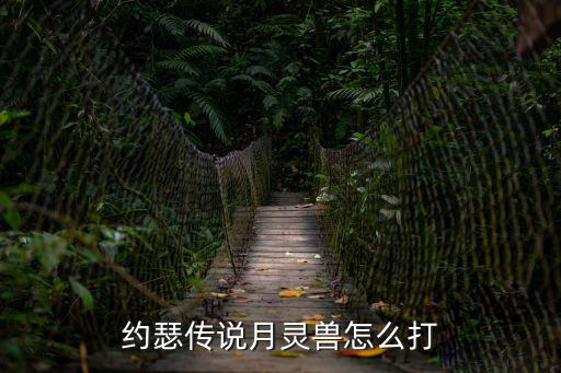 约瑟传说月灵兽怎么打