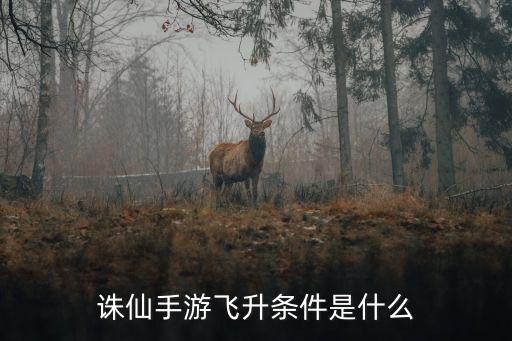 诛仙手游飞升条件是什么